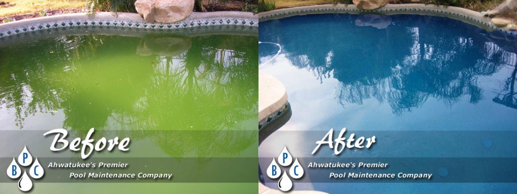 what causes pool water to turn green